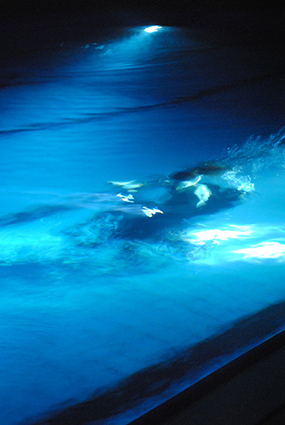 Die Beckenrandperspektive: Sue Austin unter Wasser © Marie Tollkühn