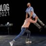 Best of Blog: Als Hund und Eule ein Tänzchen wagten
