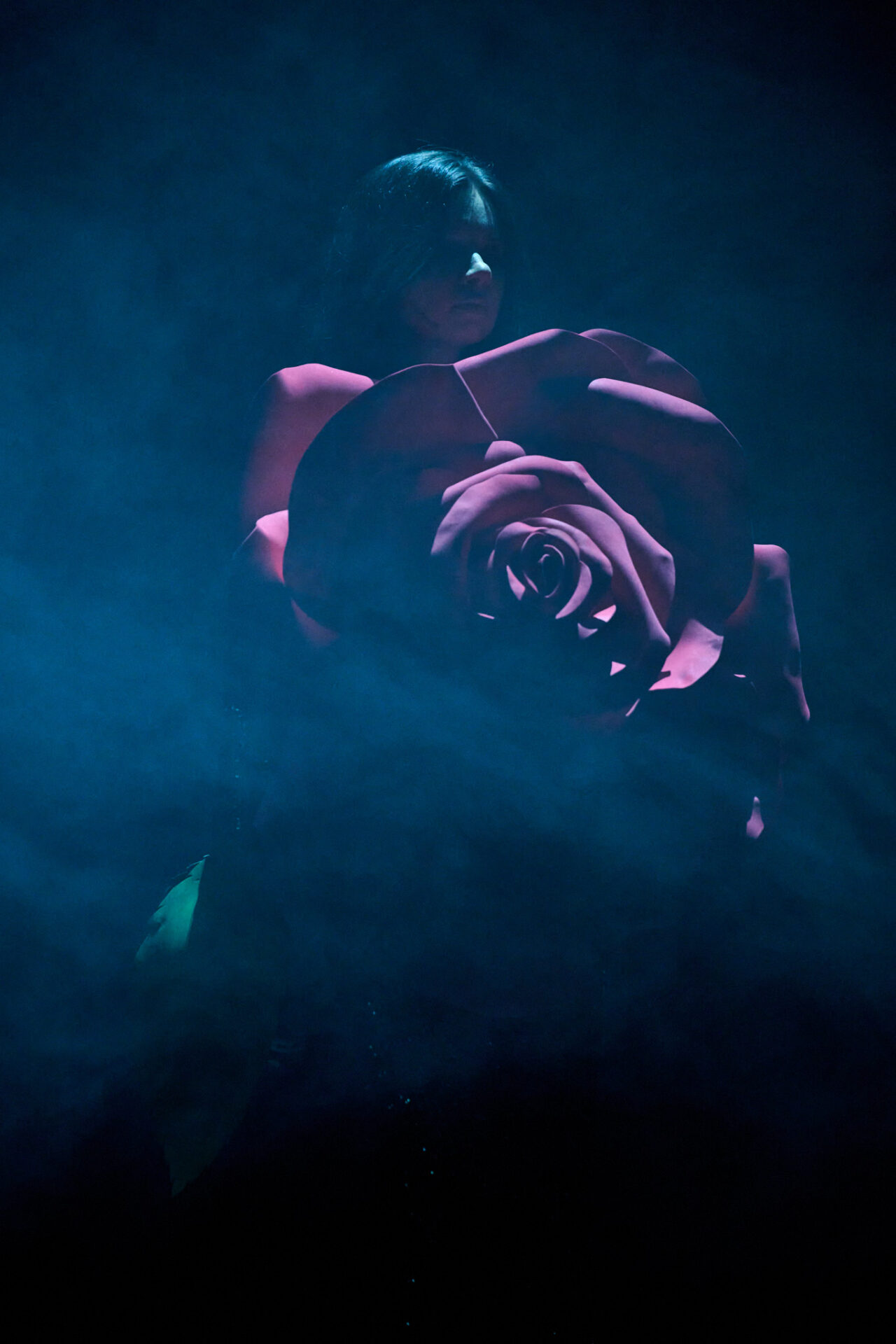 Im dunklen Licht sind die Schemen einer als Kostüm getragenen überdimensionalen Rose zu sehen. Darüber ist der Kopf der Performerin zu erkennen.